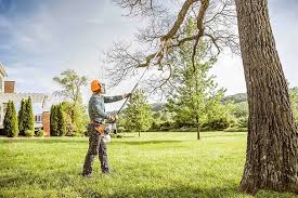 Best Emergency Tree Removal  in Courtland, VA